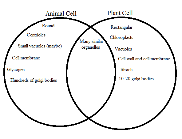 Eukaryotic Animal Cells vs. Eukaryotic Plant Cells - Cell-logy